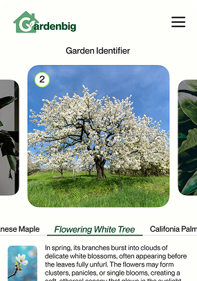 Identify the Plants You Need
